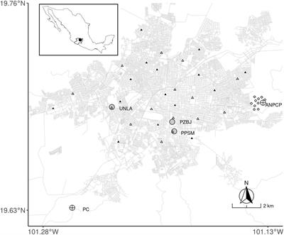 Wintering Town: Individual Quality of Migratory Warblers Using Green Urban Areas in a Neotropical City